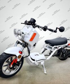 Alternative view of 50cc Maddog Scooter | Generation 4 | Automatic Transmission