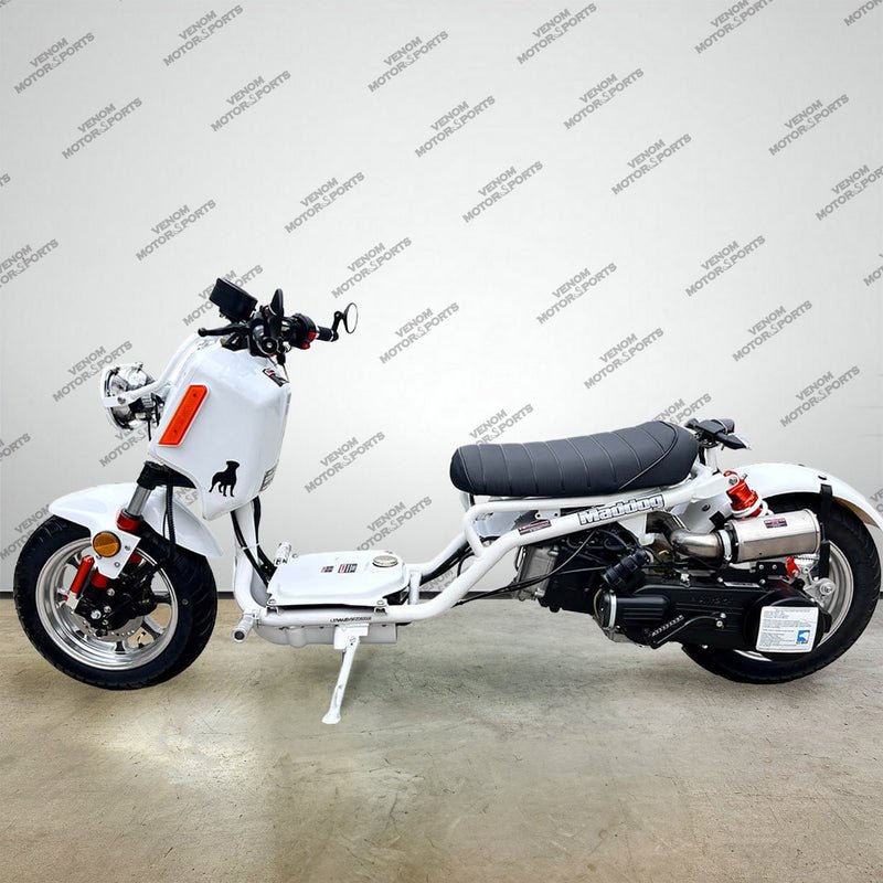 50cc Maddog Scooter | Generation 4 | Automatic Transmission - Image 6