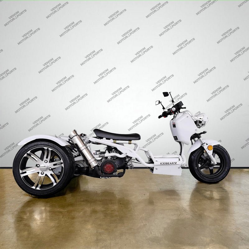 50cc Maddog Trike | 3 Wheeler | Automatic Transmission - Image 5