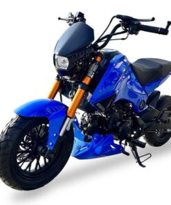 Fuerza 125cc Motorcycle, 4-Speed Manual, Dual Disc Brakes, 12 inch Aluminum Wheels, 50 State Legal – Metallic Blue