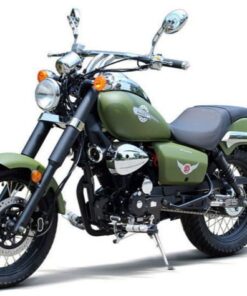 Raider 250 Street Motorcycle, 5-Speed Manual – Green