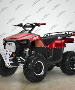 Alternative view of Venom Lander 125cc ATV | Fully Automatic + Reverse | XD-125UF