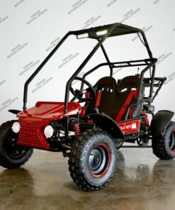 Venom Ultimate Go Kart | 2-Seater | 125cc | Automatic + Reverse